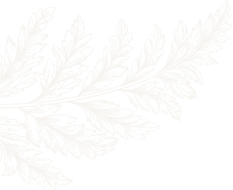 Services Overview Graphic