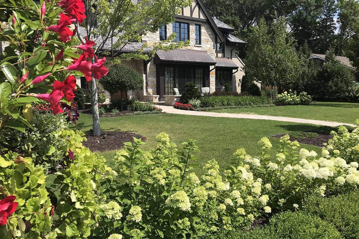 Landscape Planting 141