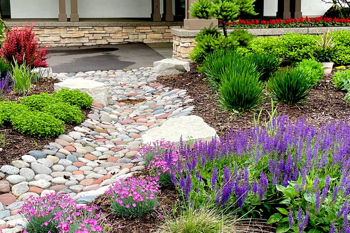 Landscape Planting 149