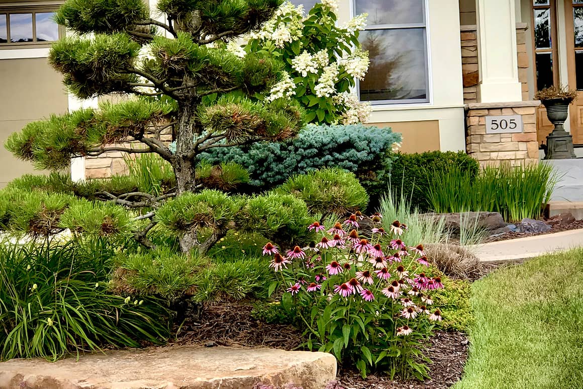 Landscape Renovation 44