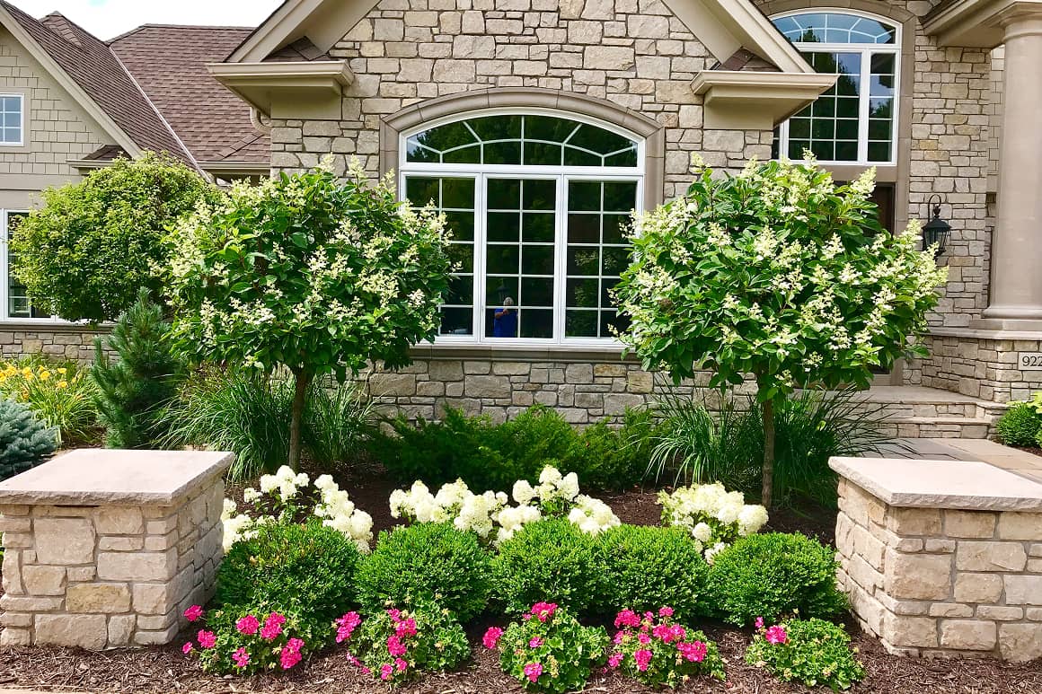 Landscape Planting 116