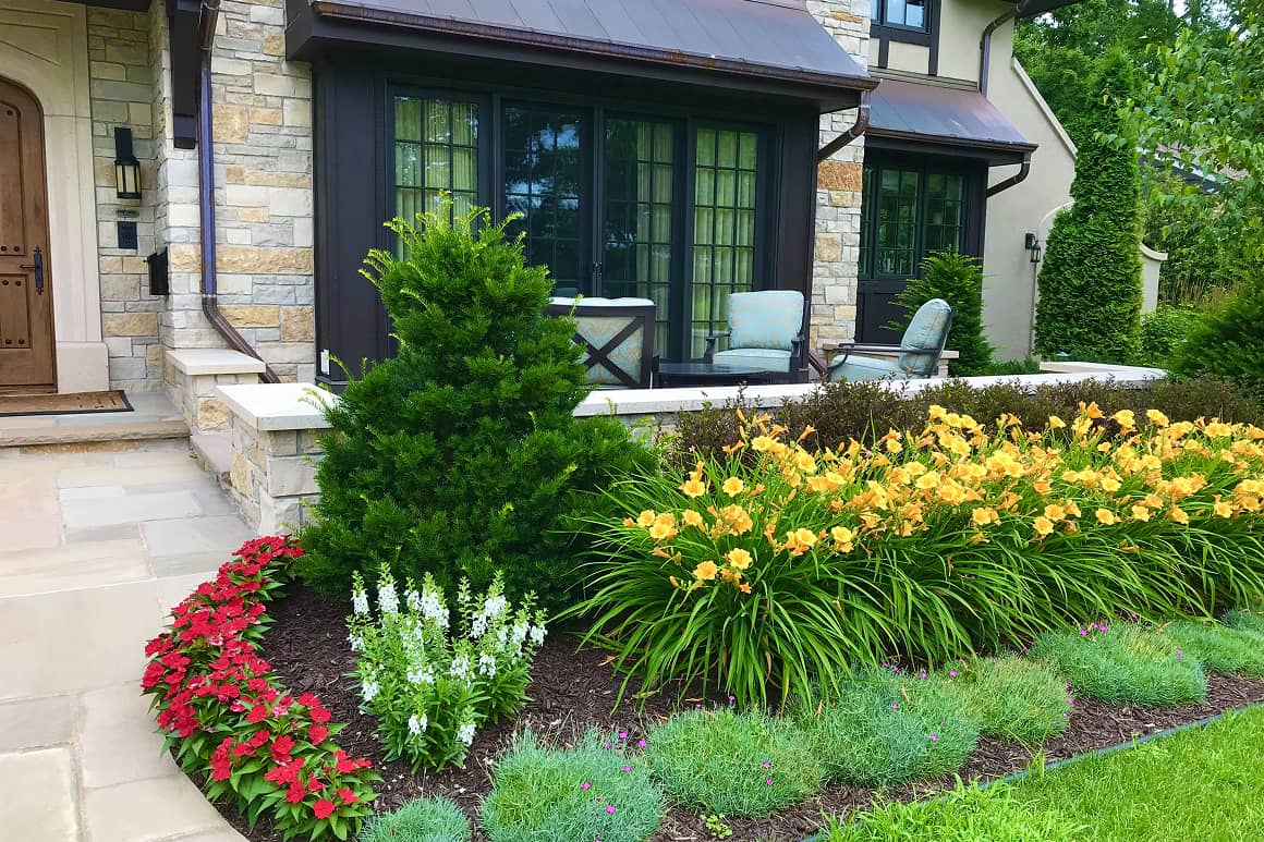 Landscape Planting 118