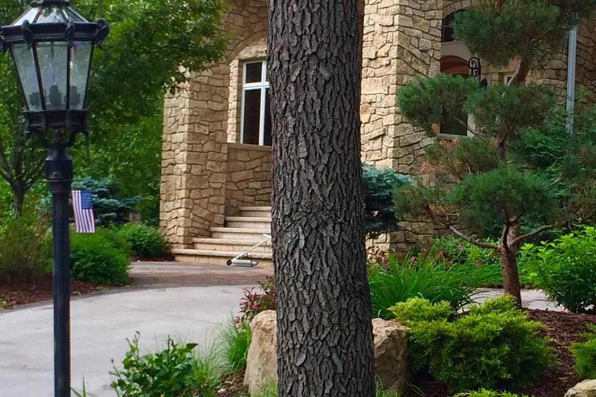 Landscape Planting 111