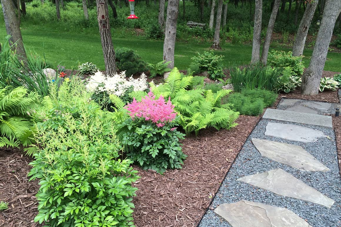 Landscape Planting 131