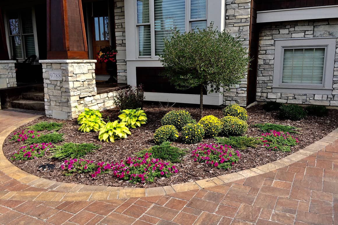 Landscape Planting 132