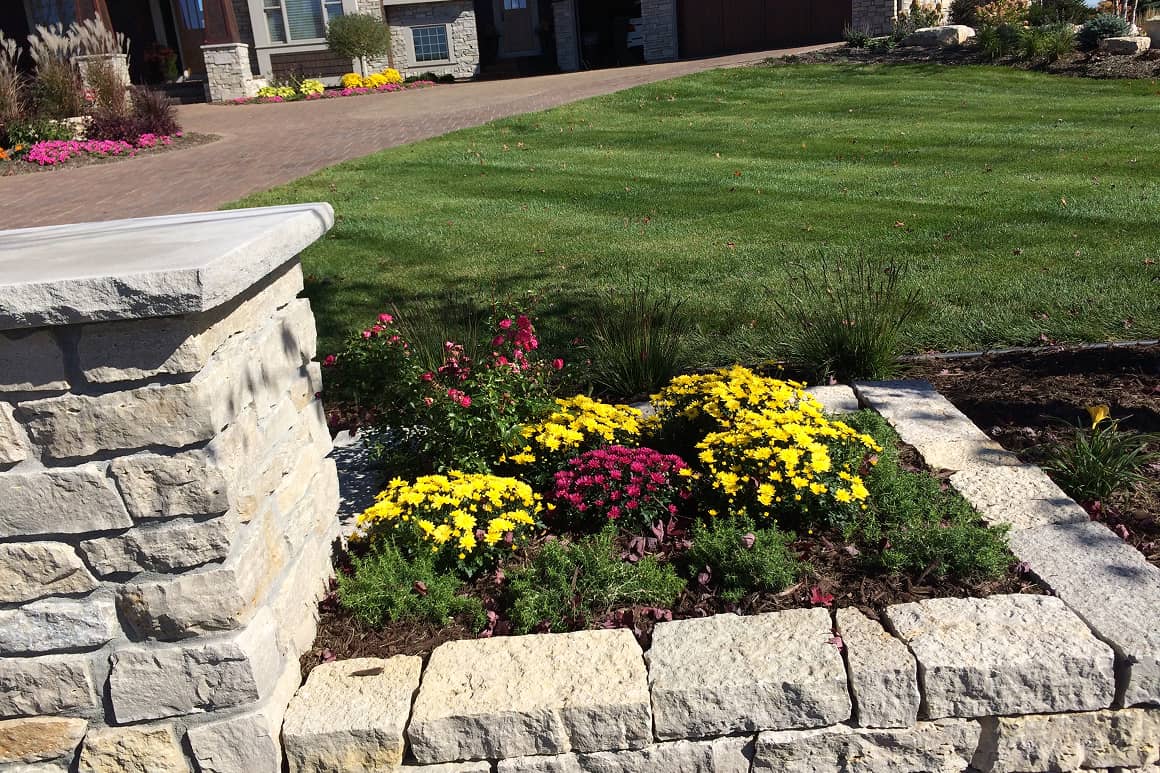 Landscape Planting 140