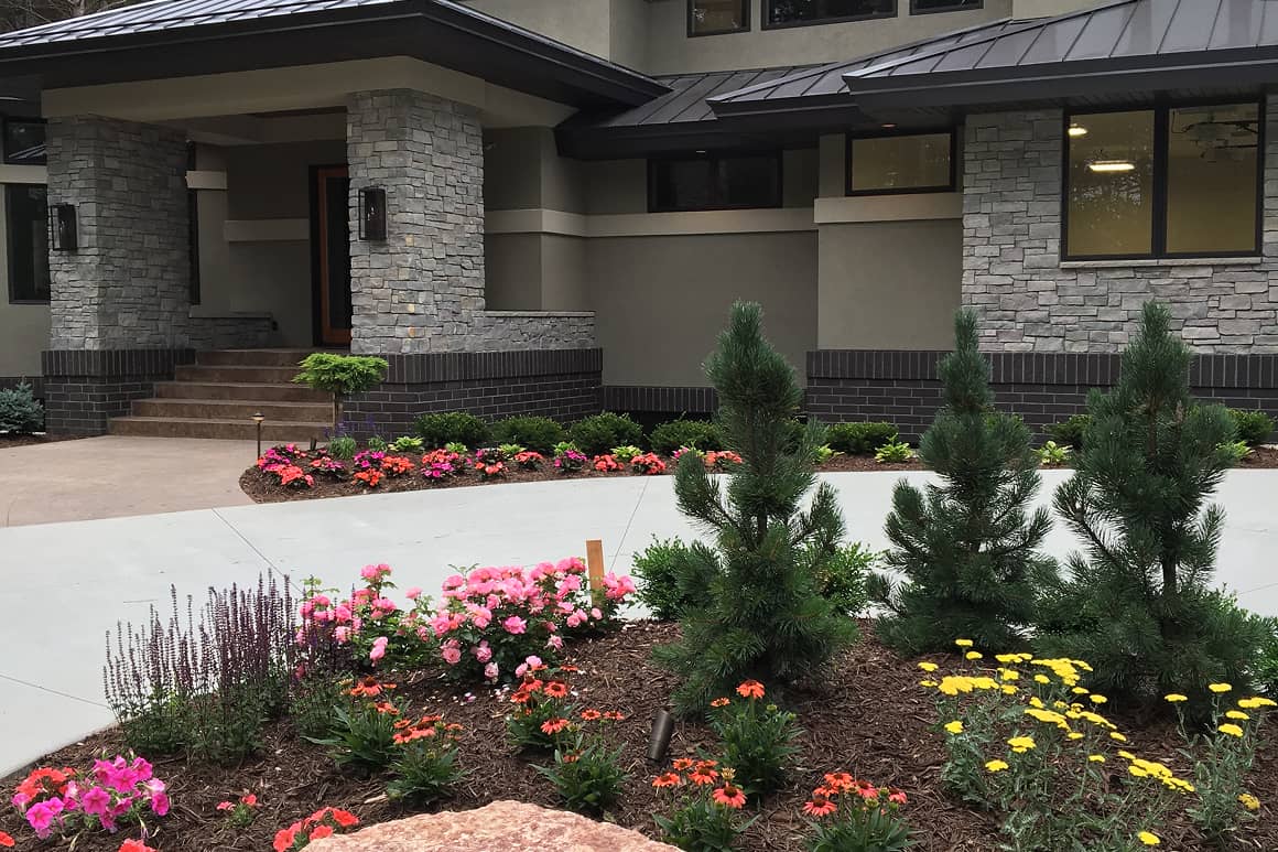 Landscape Planting 144