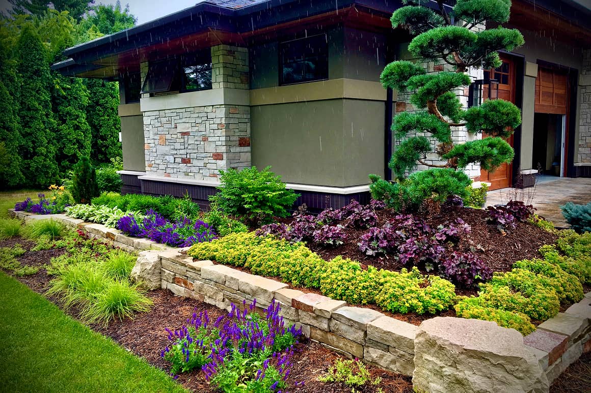 Landscape Planting 108