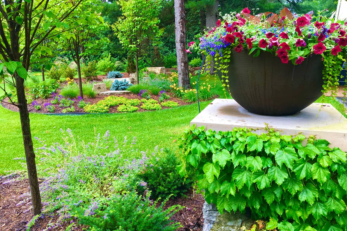 Landscape Planting 124