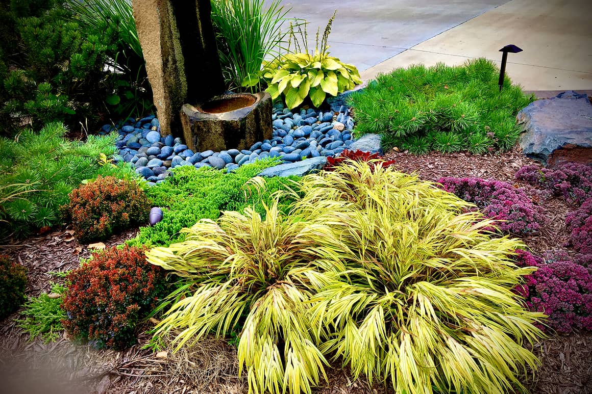 Landscape Planting 134