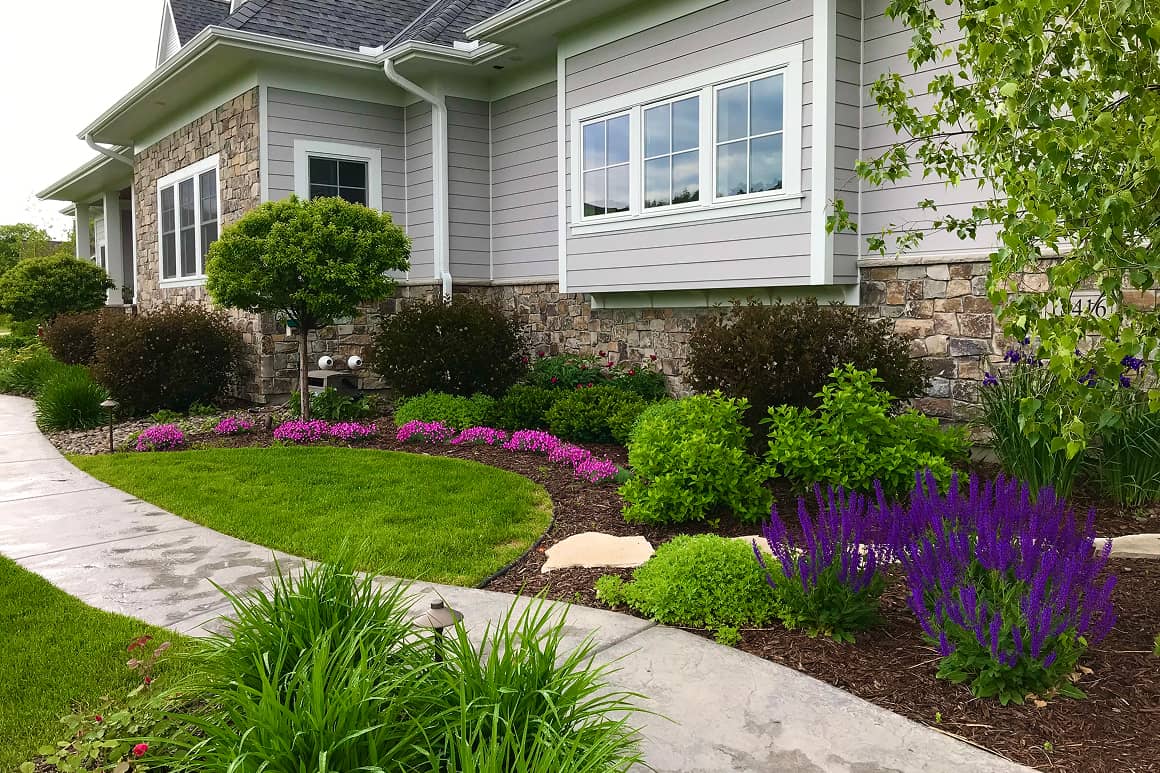 Landscape Planting 126