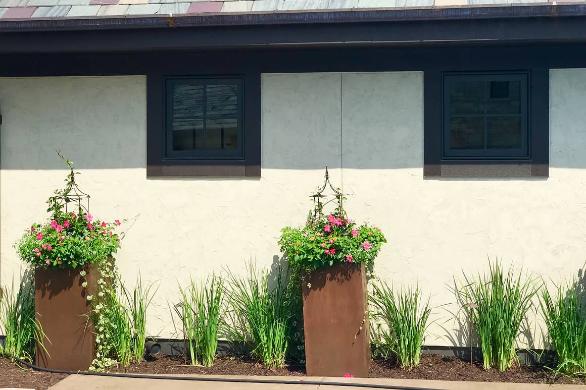 Landscape Planting 125